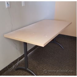 Birch and Grey 48 x 24 Training Table Straight Desk